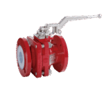 Van bi Richter BVA (1) (1)